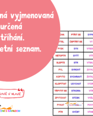 Vyjmenovaná slova k rozstříhání